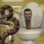 Python Snake Kill Skibidi 화장실 뒷방