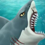 상어 공격 – 캐주얼